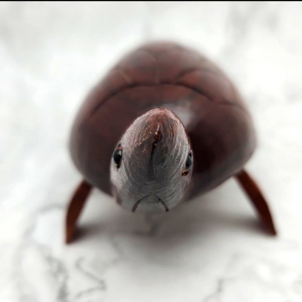 Hand Carved Wood Turtle, 8" Folk Art Decor - Picture 9 of 11
